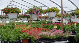 11145110_720317401424879_5295714008978677909_o