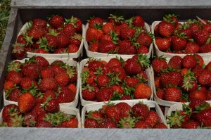 13708248_931277493662201_5036993241960261485_o