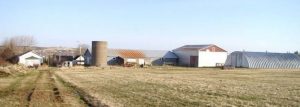 The-Last-Straw-Farm-e1491273769321