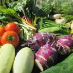 20776369_1631667546867962_803041619544838266_o